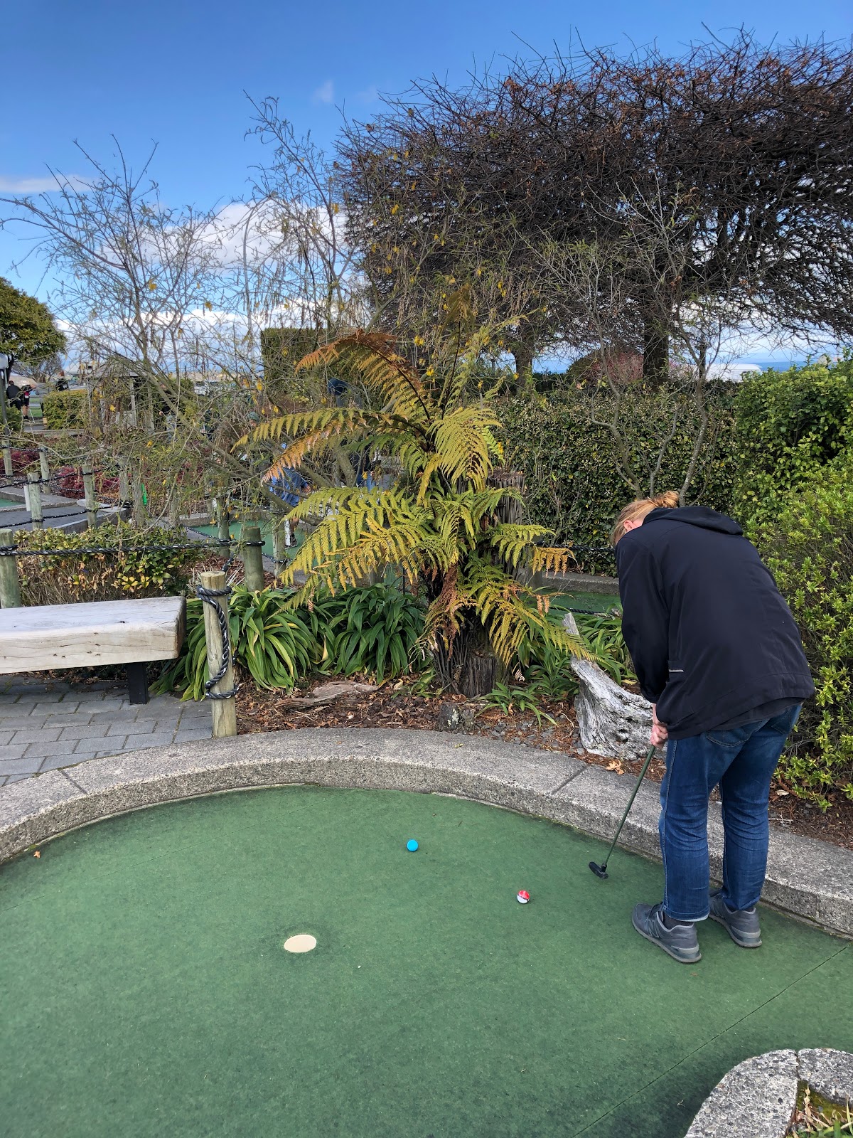 Taupo Mini Golf